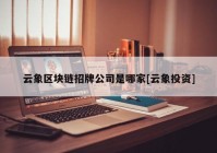 云象区块链招牌公司是哪家[云象投资]